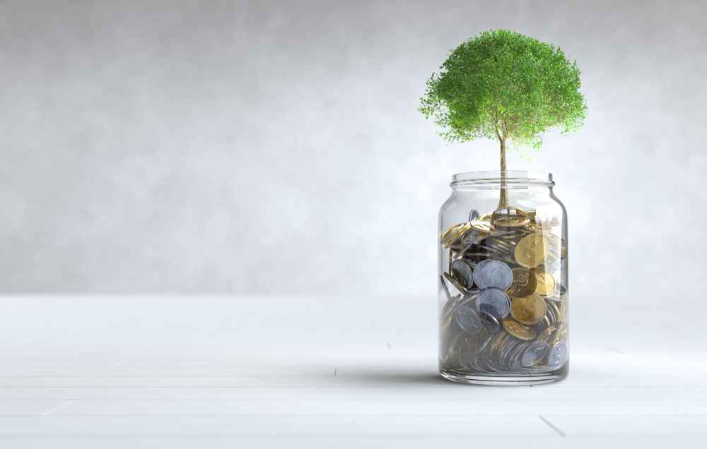 a jar full of coins and a small plant growing on it(signifying security)